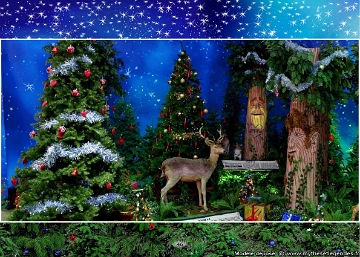 (46) - Father Christmas Forest